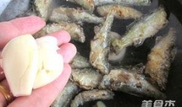 盐焗小鱼丸爆料视频,美味背后的秘密大公开